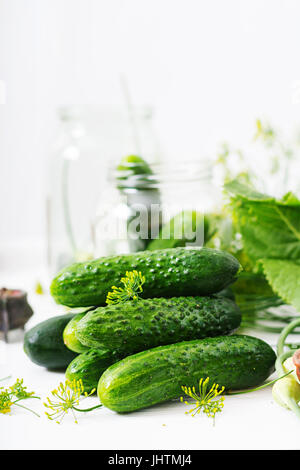 Zubereitung gebeizt marinierten Gurken, Kräutern und Salz. Stockfoto