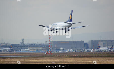 FRANKFURT, Deutschland - 28. Februar 2015: Lufthansa Boeing 737-530, MSN 24824, Registrierung D-ABIL Landung auf einer Start-und Landebahn am Frankfurt International Airport FRA im warmen Licht der untergehenden Sonne. Stockfoto