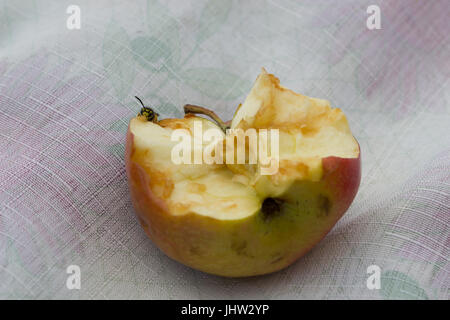 Kleine Wespe frisst einen großen leckeren Apfel Stockfoto