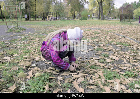 Kleine Mädchen sammelt gefallenen Blätter im Herbst. Stockfoto