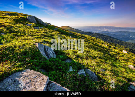 Wiese mit riesigen Felsbrocken am Hang. Bergrücken an einem schönen sonnigen Sommertag. wunderbare Landschaft der Karpaten Stockfoto