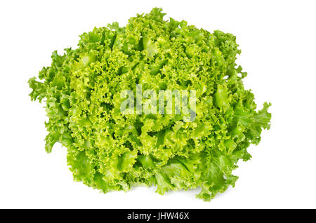 Lollo Bianco Salat Vorderansicht auf weißem Hintergrund. Lollo Bionda, Sommer frische Vielfalt von Lactuca Sativa. Lose-Blatt Salat. Grüner Salat Kopf. Stockfoto