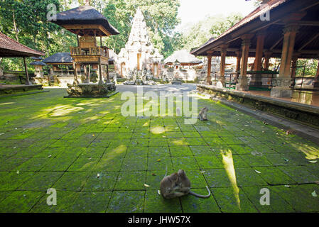 Hindu-Tempel Pura Dalem Agung, Monkey Forest, Ubud, Bali, Indonesien Stockfoto