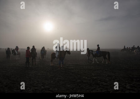 Indonesier Reiten im Sandmeer in Mount Bromo Ost-Java Indonesien. Stockfoto