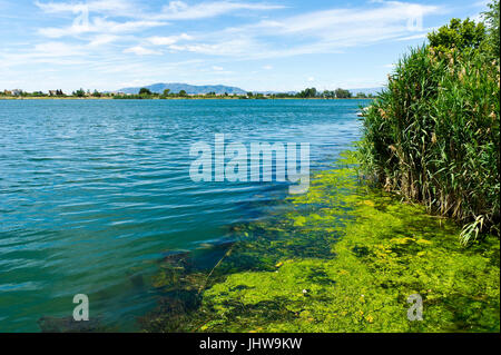 Fluss Ebro, Deltebre, Delta Se lEbre, Ostspanien Stockfoto