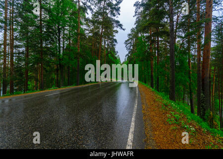 Straße und Wald in Punkaharju Grat. Shouthern Savonia, Lakeland Region, Finnland Stockfoto