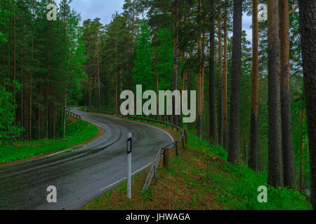 Straße und Wald in Punkaharju Grat. Shouthern Savonia, Lakeland Region, Finnland Stockfoto