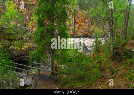 Blick auf die Kiutakongas Stromschnellen in Oulanka-Nationalpark, Finnland Stockfoto