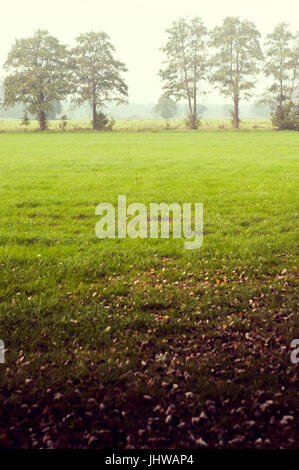 Landschaft im ländlichen Raum an einem nebligen Tag in Niedersachsen, Deutschland Stockfoto