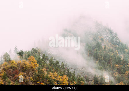 Borjomi, Samzche-Dschawacheti, Georgia. Kiefern wachsen auf steinigen Abhang des Gebirges In Borjomi Naturschutzgebiet. Wolken fliegen tief über Felsen und Wald Herbst Stockfoto