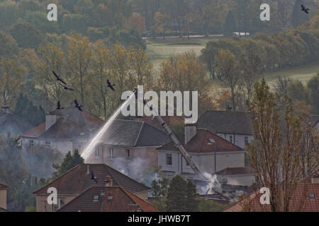 Feuerwehrleute kämpfen Feuer hoch auf Leiter in Glasgow Knightswood Vorort Haus Feuer Sonnentag Stockfoto