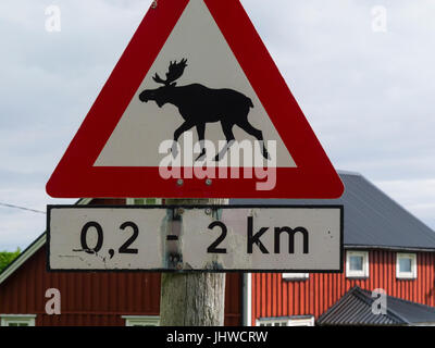 Straße Zeichen der Anwesenheit von Elk unterwegs Norwegen Warnung Stockfoto