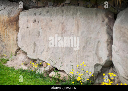 Neolithische Kunst auf große Steine angezeigt, Bordsteine mit Spiralen und Pastillen in Knowth, Boyne Valley, Meath Irland Stockfoto