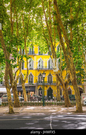 Lissabon Portugal, Blick auf die Avenida da Liberdade, ein langer, von Bäumen gesäumter Boulevard, der zum Zentrum des historischen Viertels von Lissabon, Portugal, führt Stockfoto