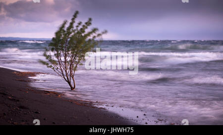 LLanquihue-See / Lago Llanquihue. Fotografías Tomadas ein Las Orillas del Lago LLanquihue de la Región de Los Lagos de Chile. Stockfoto