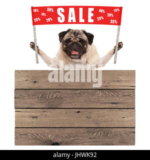 glücklich süße Mops Welpen Hund hält Schild mit roten Banner mit Text Sale % aus, mit Holzbrett isoliert auf weißem Hintergrund Stockfoto