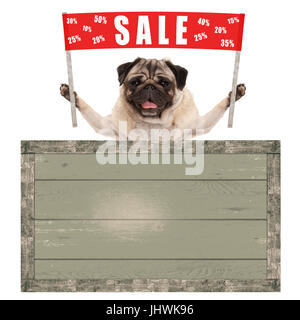 glücklich süße Mops Welpen Hund hält Schild mit roten Banner mit Text Sale % aus, mit Vintage Holzbrett isoliert auf weißem Hintergrund Stockfoto