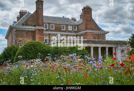 South Harting, England - 17. Juli 2017: Eine wilde Blume-Anzeige wächst in Uppark, West Sussex, die restauriert wurde nach einem verheerenden Brand im Jahre 1989 Stockfoto