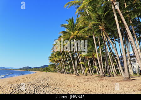 Es ist früh am Morgen an einem oberen Wintertag und alles sieht gut aus am südlichen Ende der wichtigsten Palm Cove Strand erstrecken Stockfoto