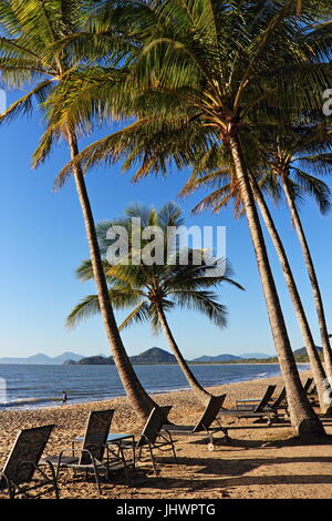 Top-Strand-Blick auf ruhigem Wasser, Palmen und Sandstrand in den frühen Morgen Top Wintertag in Palm Cove Stockfoto