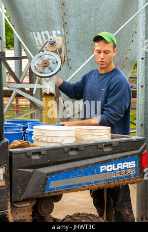 Bauer, Knecht Vorbereitung Körner für Tiere auf Bauernhof Stockfoto