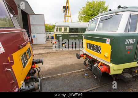 Drei der 1960er Jahre zu entwerfen, BR Diesel elektrische & hydraulischen Diesellokomotiven D1010, D6566 & D7017 Williton Diesel Depot, West Somerset Railway, England, UK Stockfoto