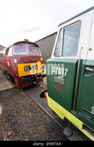 Zwei der 1960er Jahre entwerfen BR hydraulischen Diesellokomotiven D1010 & D7017 auf einem Abstellgleis in Williton Station West Somerset Railway, England, UK Stockfoto