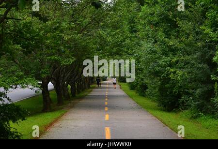 Zwei Frauen gehen Hunde und Menschen Joggen auf einem friedlichen Baum säumten Freizeit Weg in einer Wohngegend am frühen Morgen, Stone Mountain, Georgia Stockfoto