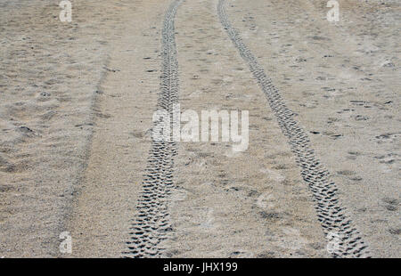 Reifenspuren im Sand am Strand von Florida Stockfoto