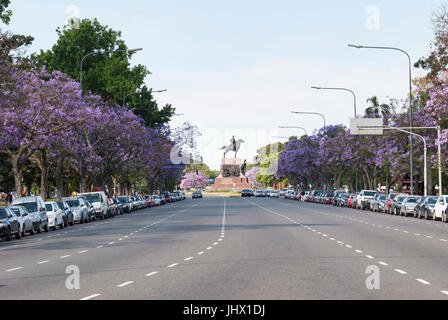 Buenos Aires, Argentinien, im Frühling. Jacaranda-Bäume (Jacaranda Mimosifolia) entlang der Straße in Palermo Nachbarschaft Stockfoto