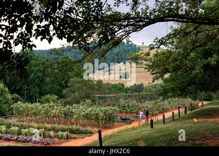 Gärten, Monticello, Virginia Stockfoto