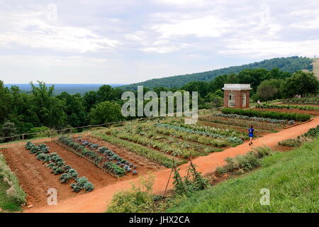 Der Gemüsegarten der Plantage von Thomas Jefferson, Monticello Charlottesville, Virginia, USA Stockfoto