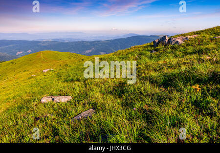 Wiese mit riesigen Felsbrocken am Hang. Bergrücken an einem schönen sonnigen Sommertag. wunderbare Landschaft der Karpaten Stockfoto