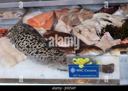 Eine verlockende Auswahl an frischem Fisch auf einem Marktstand Stockfoto