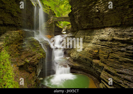 Die Rainbow Falls Wasserfall in Watkins Glen-Schlucht im Staat New York, USA. Stockfoto