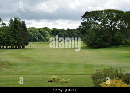 Walewska fairway Stockfoto