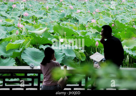 Anyang. 16. Juli 2017. Foto aufgenommen am 16. Juli 2017 zeigt Touristen beobachten Lotus im Volkspark, Anyang City, Zentral-China Henan Provinz. Bildnachweis: Liu Xiaokun/Xinhua/Alamy Live-Nachrichten Stockfoto