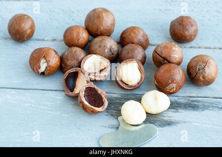 Macadamia ist eine australische Nuss, ein Kindal. Auf einem hölzernen Fob ist eine grau-blaue Farbe. Stockfoto