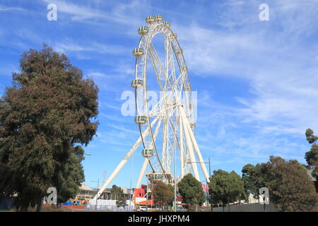 Melbourne Star in Melbourne Australien. Melbourne Star ist ein Riesenrad im Dezember 2013 eröffnet und zieht viele Einheimische und Touristen Stockfoto