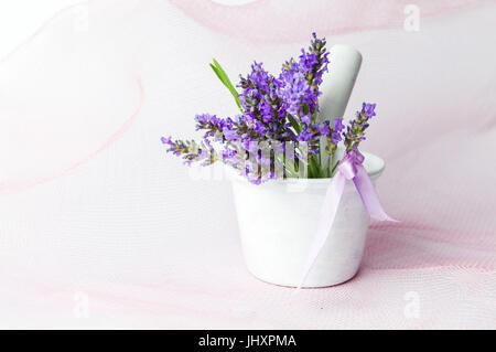 Lavendel Blumen in einem weißen Mörser mit rosa Hintergrund Stockfoto