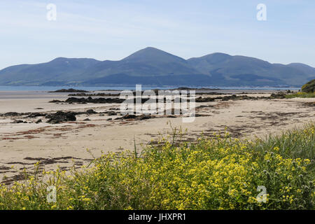 Blick über eine Grafschaft Down Strand am Mountains of Mourne, Newcastle, County Down, Nordirland. Stockfoto