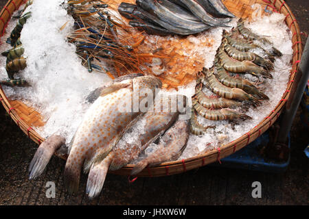 Fangfrische Fische und Garnelen in einem Weidenkorb in Eis, Morgen Fischmarkt, Myanmar (Burma) Stockfoto