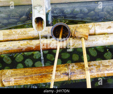 Japanische Kellen bei Shinto Tempel in Kyoto, Japan. In Japan, ein tsukubai ist ein Waschbecken am Eingang zu den heiligen Stätten für die Besucher der t Reinigen bereitgestellt Stockfoto