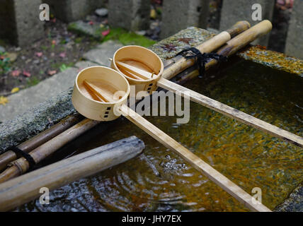Japanische hölzerne Schöpfkellen am Shinto-Tempel in Kyoto, Japan. In Japan ist ein Tsukubai ein Waschbecken versehen am Eingang zu den Heiligen Stätten für die Besucher p Stockfoto