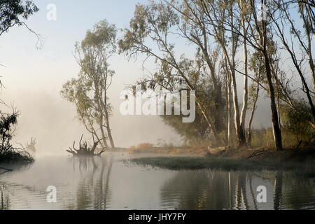 Frühmorgens am Murray River in der Nähe von Mildura Stockfoto