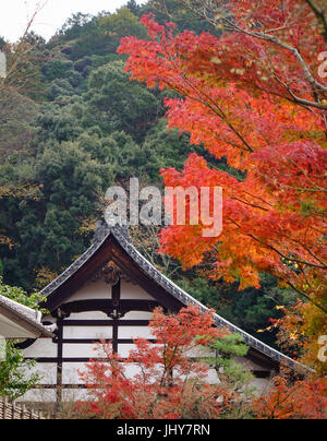 Herbstliche Bäume mit Main Hall der Eikando Tempel in Kyoto, Japan. Kyoto ist eine Stadt im zentralen Teil der Insel Honshu, Japan. Stockfoto