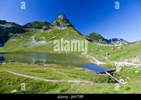 Augtsee in dem losen, Altaussee, Steiermark, Ausseer Land? Sterreich - Sole Augtsee an der losen, Augtsee, Altaussee, Steiermark, Österreich bin Verlierer, Ausse Stockfoto