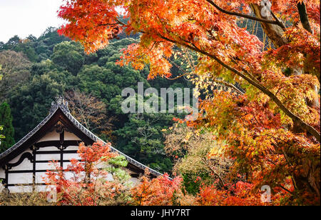 Herbstliche Bäume mit Main Hall der Eikando Tempel in Kyoto, Japan. Eikan-Do-Tempel ist der Haupttempel der Jodo-Shu Seizan-Zenrinji-Schule. Stockfoto