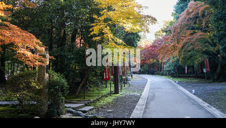 Kyoto, Japan - 18. November 2016. Blick auf den Pfad am Shinto-Schrein in Kyōto, Japan. Kyoto ist berühmt für seine zahlreichen klassischen buddhistischen Tempel, sowie ein Stockfoto