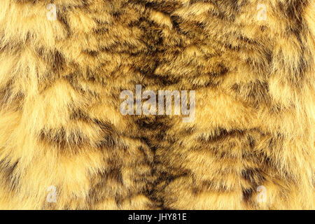 Snow Leopard strukturierte Fell, Leder, echte Tiere (Panthera Uncia) Stockfoto